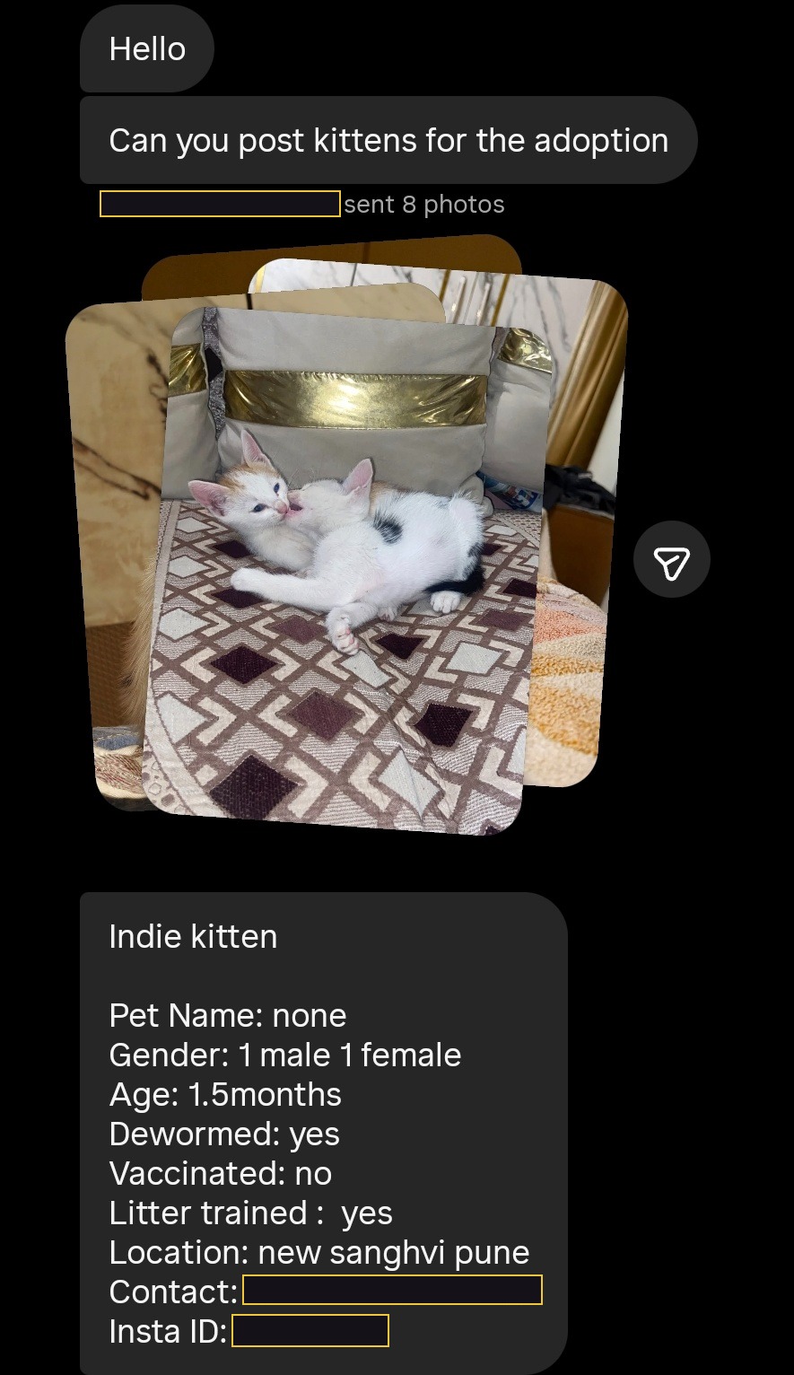 A real rescuer's Instagram message, sent the way that works best: one message carrying the photos and the words together, with the kittens' age, whether they are male or female, whether they are dewormed and litter trained, an area, and a contact — the contact details and the sender's handle are blacked out here.