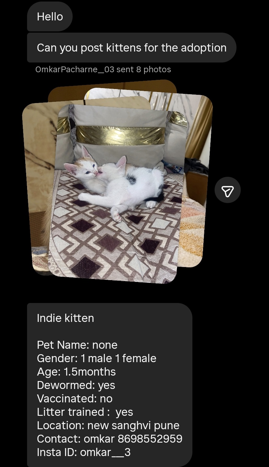 A rescuer's Instagram message sent the way that works best: one message carrying the photos and the words together, with the kitten's age, whether it is male or female, a phone number and an area.